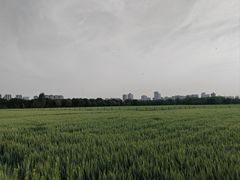 -汉长安城未央宫国家考古遗址公园