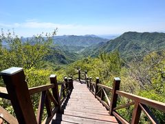 -大岭沟猕猴桃谷风景区