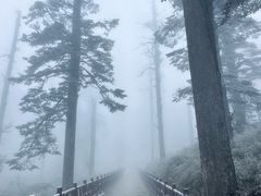 -瓦屋山景区