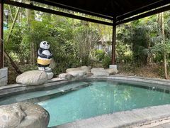 -青城道汤池