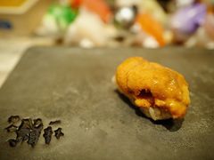 红海胆-橼舍鮨青木
