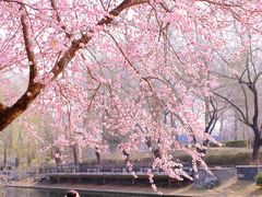 -安定门(地铁站)