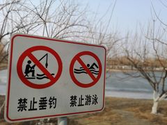 -永定河休闲森林公园