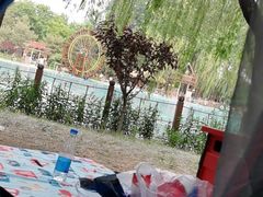 -南宫五洲植物乐园