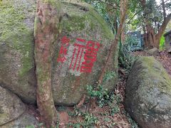 -海南铜鼓岭景区