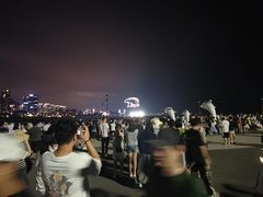 -小麦岛公园