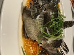 清蒸龙趸仔-稻香海鲜饭店(第一国际店)