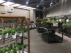 -鹿岛会员店 (龙湖三千集天街店)