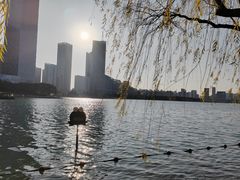 -天鹅湖体育公园
