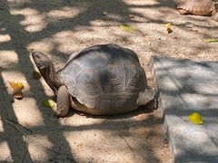 -广东茂名森林公园