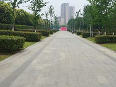 -映月湖中央公园