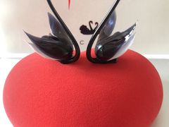 -BLACKSWAN黑天鹅(环球店)