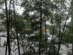 -晋江荣誉国际酒店·港誉茶餐厅