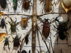 -恋物百货商店(华侨城店)