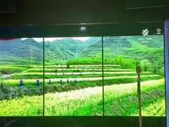 -纯K(打浦桥店)