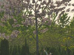 -汉长安城未央宫国家考古遗址公园