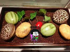 盛夏果实-佬麻雀·新湘菜(珠海金发购物中心店)