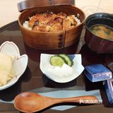 一家入了日本杂志推荐的花菖蒲