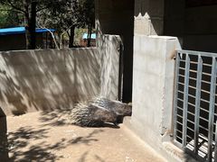 -猎鹰谷实弹射击俱乐部