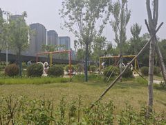 -长白岛森林公园