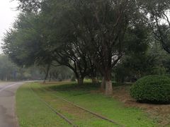 -永定河休闲森林公园