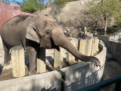 -大连森林动物园