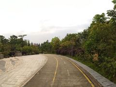 -聚龙山公园