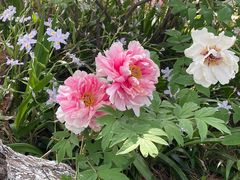 -玄武湖景区-情侣园游乐场