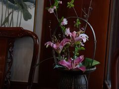 -宋宴(虎跑店)