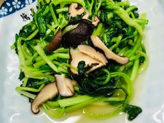 香菇炒青菜-粗茶淡饭(东关街店)