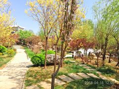 -武清南湖绿博园