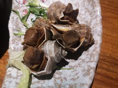 -青叶日式料理(飘亮阳光广场店)