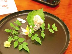 鲷鱼刺身-希望日本料理(保利香槟花园店)
