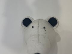 -龙格亲子游泳•水育早教运动中心