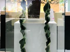 -北京植物园-展览温室