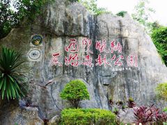 -西双版纳原始森林公园