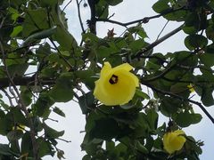 -黄金海岸环岛路