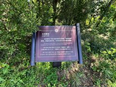 -汉陵苑