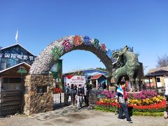 -北京鹿世界主题园
