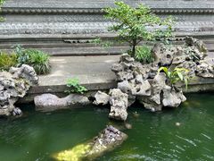 -普陀山风景名胜区-法雨禅寺