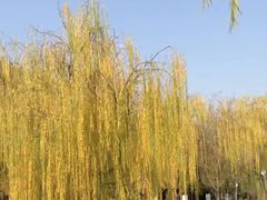 -南翠屏公园