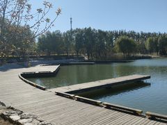 -马家湾湿地公园