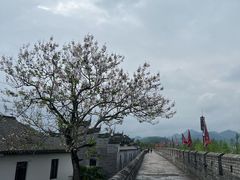 -台州府城(江南长城)