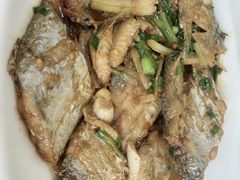 -金海湾海鲜排档(朱家尖店)