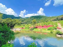 -广州市石门国家森林公园