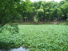 -石燕湖生态旅游景区
