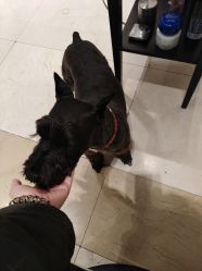 -Hello Lady发型设计