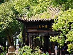 -东湖落雁景区