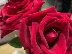 -原野花艺鲜花店(车站大道店)