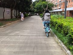 -广西大学(大学东路校区)